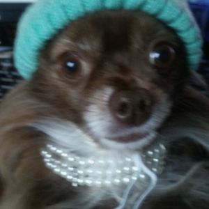 Meet your Posher, Sheila